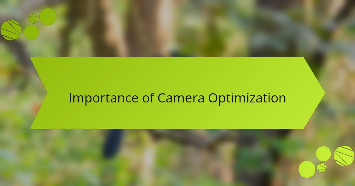 Importance of Camera Optimization
