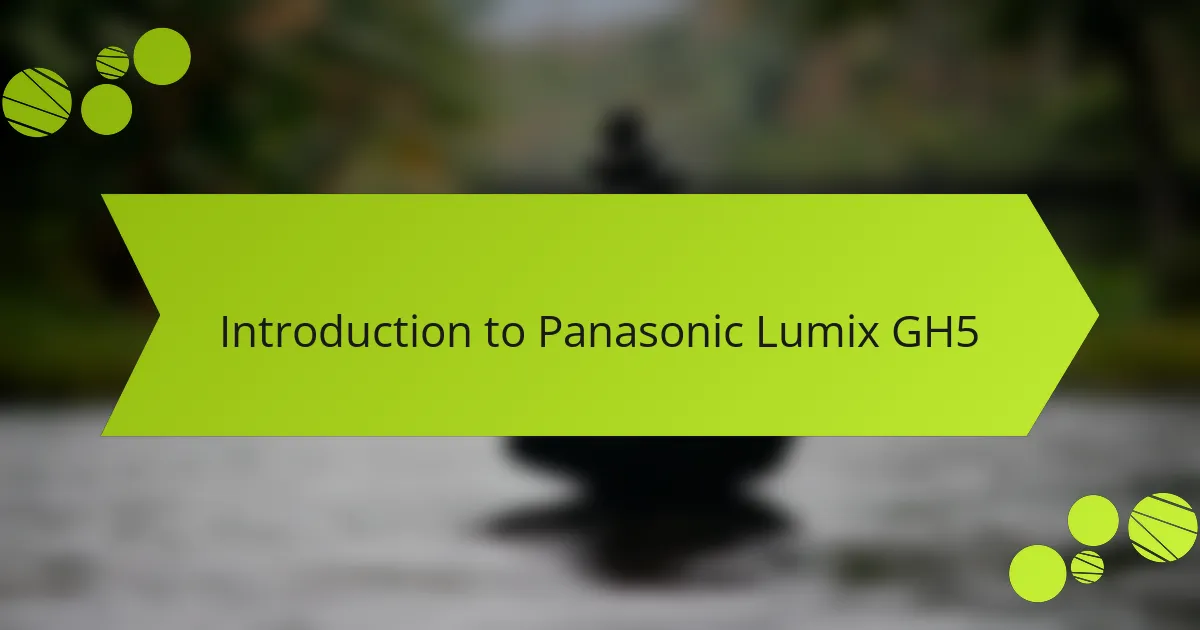 Introduction to Panasonic Lumix GH5