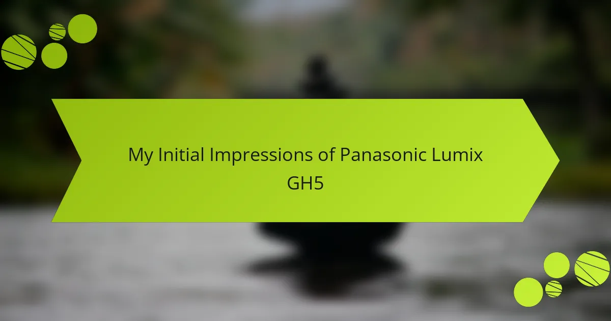 My Initial Impressions of Panasonic Lumix GH5