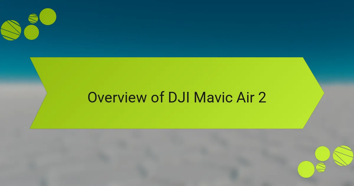 Overview of DJI Mavic Air 2