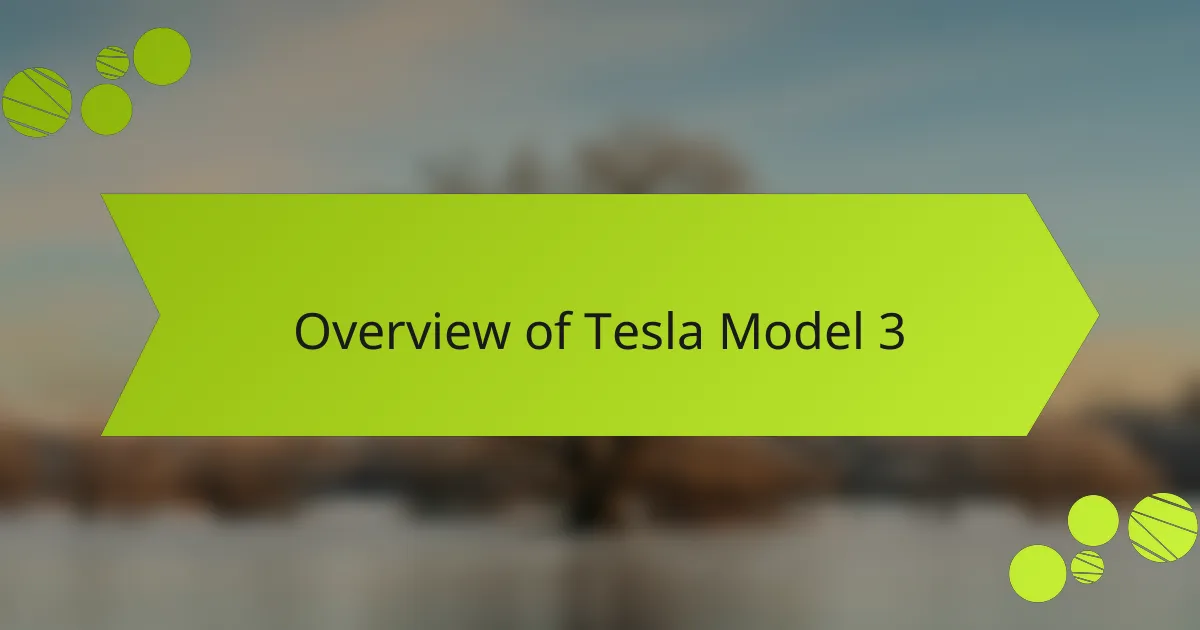 Overview of Tesla Model 3