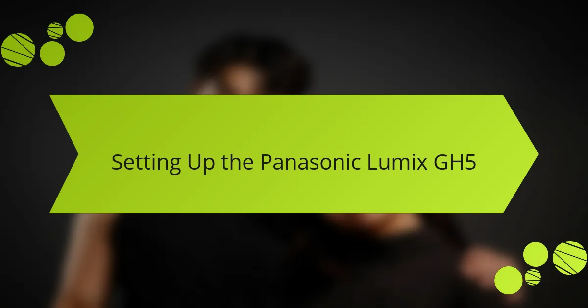 Setting Up the Panasonic Lumix GH5