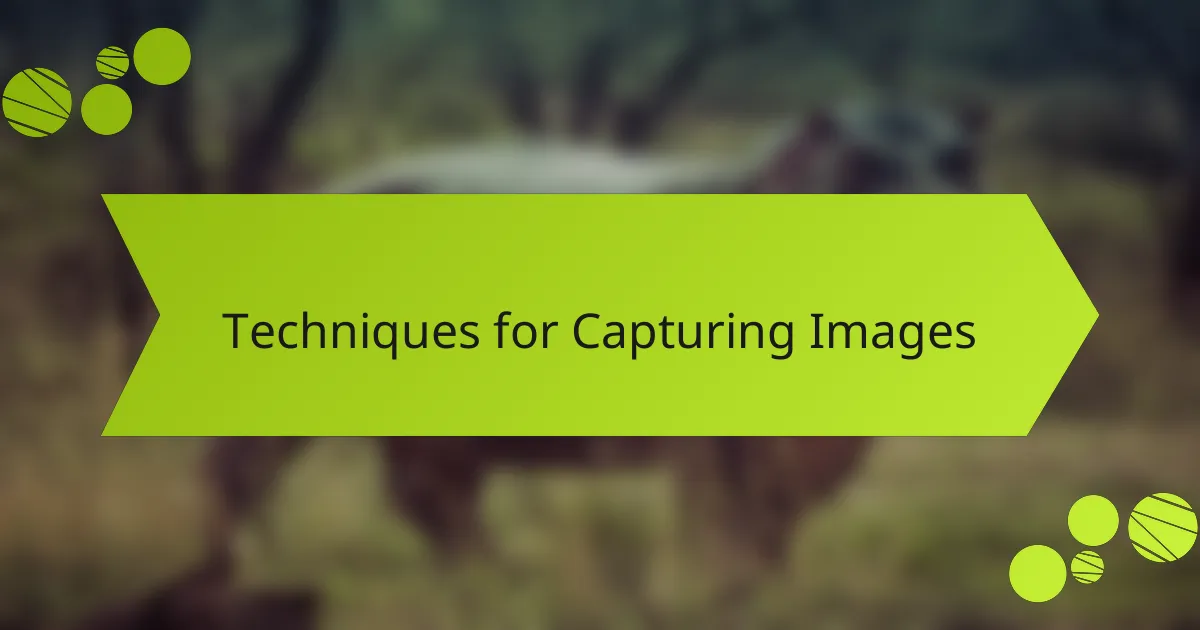 Techniques for Capturing Images