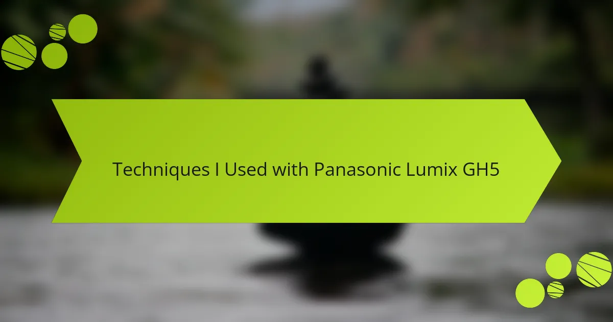 Techniques I Used with Panasonic Lumix GH5