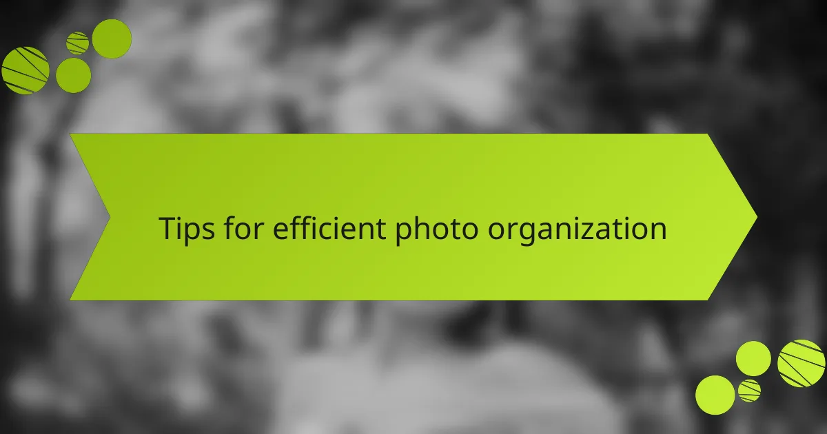 Tips for efficient photo organization