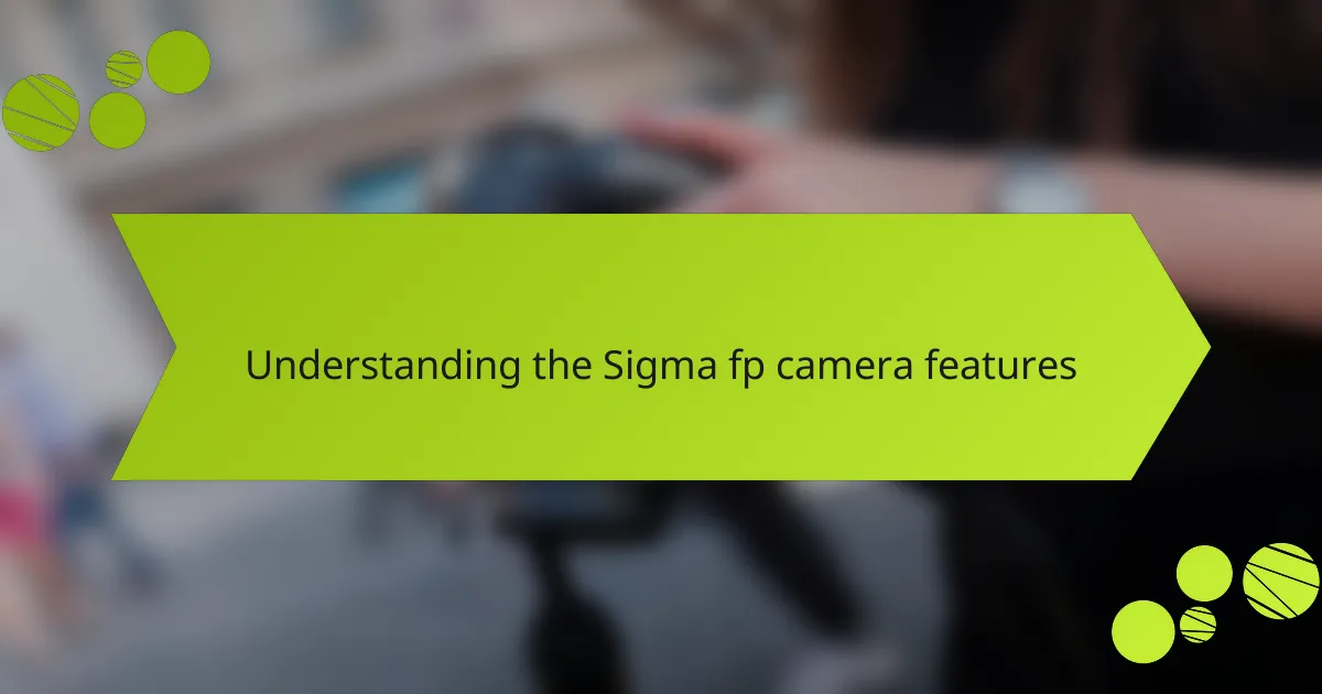 Understanding the Sigma fp camera features